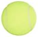 Penn Championship Tennis Balls - Regular Duty Felt Pressurized Tennis Balls