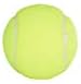 Penn Championship Tennis Balls - Extra Duty Felt Pressurized Tennis Balls