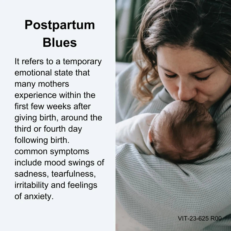 Blues Away® – Postpartum Shakes to Help Improve Mood after Birth | Dietary Supplement | 4 Shakes in a 3-Day Regimen | with Blueberry Extract | Gluten and Lactose-Free