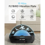 Flybird Vibration Plate-4D & Oscillation Two Types Vibration Platform Whole Body Workout
