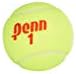 Penn Championship Tennis Balls - Regular Duty Felt Pressurized Tennis Balls