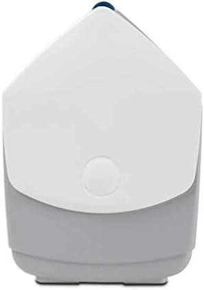 Igloo Classic Playmate Coolers