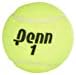 Penn Championship Tennis Balls - Extra Duty Felt Pressurized Tennis Balls