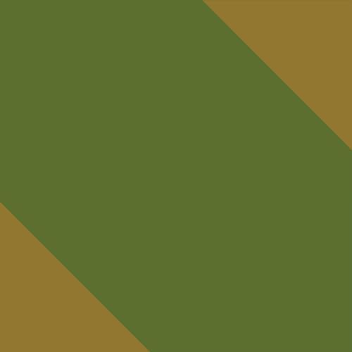 Durable Hammock 500 lb Capacity, Nylon Camping Hammock Chair - Double or Single Sizes w/Tree Straps and Attached Carry Bag - Portable for Travel/Backpacking/Beach/Backyard (Large, Khaki & Dark Green)