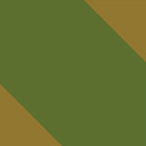 Durable Hammock 500 lb Capacity, Nylon Camping Hammock Chair - Double or Single Sizes w/Tree Straps and Attached Carry Bag - Portable for Travel/Backpacking/Beach/Backyard (Large, Khaki & Dark Green)