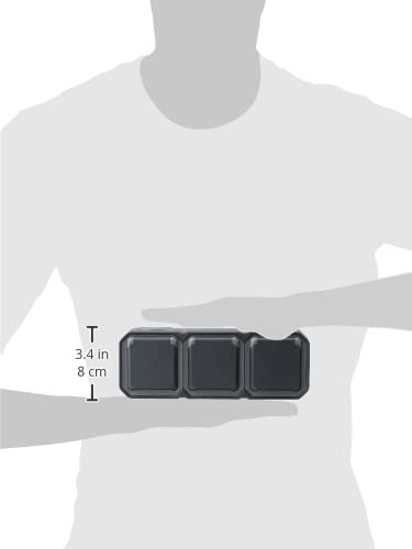 Legrand - Triple Electrical Outlet Receptacle Socket with Grounding, Waterproof, Pre-Wired, with Plexo Flap, 16A, 250V, Complete Surface Mount, Horizontal, Charcoal