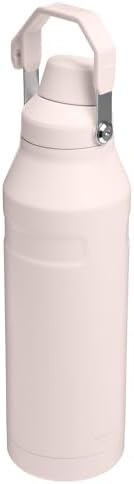 Stanley IceFlow Fast Flow Water Bottle | Angled Spout Lid | Lightweight & Leakproof for Travel & Sports | Insulated Stainless Steel | BPA-Free