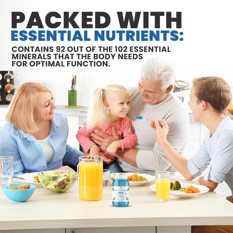 Organic Blue Spirulina Sea Moss Gel – Raw Irish Sea Moss Superfood (16 Fl Oz, Made in the USA)