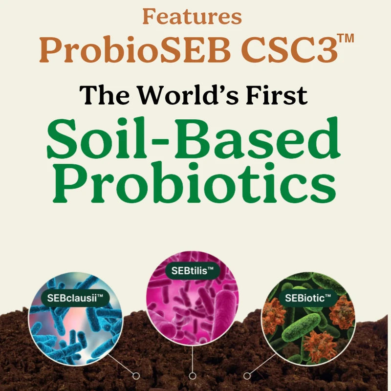 Law Of Nature Best Days Formula | Advanced 5-in-1 Gut Support for Bloating, Gas & Irregularity | Soil-Based Probiotics + Prebiotics, L-Glutamine, Aloe Vera & More | 60 Capsules