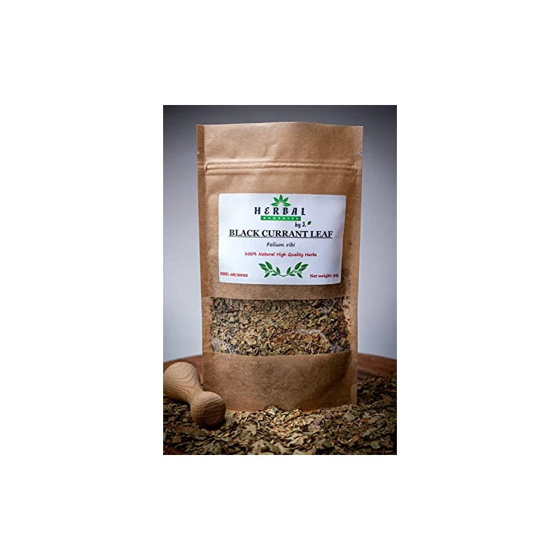 Blackcurrant Leaf Tea Infusion 50g - Ribes Nigrum Black Currant - Herbal Remedies by J. - Czarna porzeczka lisc