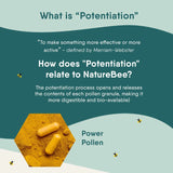 NatureBee Power Pollen 60 x 500mg Caps | Energy, Immune, and Cognitive Support | Potentiated Bee Pollen | Natural & Organic Superfood | 1 Month Supply