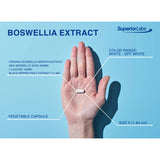 Superior Labs Superior Labs Boswellia Extract - Pure Non GMO Boswellic 65% Acids. Superior Absorption Zero Synthetic Additives - Powerful Formula Joint, Knees, HIPS, Immune, 500mg SVG, 240 Veg Capsules