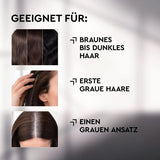 Plantur 39 Anti-grey effect shampoo, 1 x 200 ml, conceals gradually grey hair, for brown to dark hair, long-lasting result without dyeing