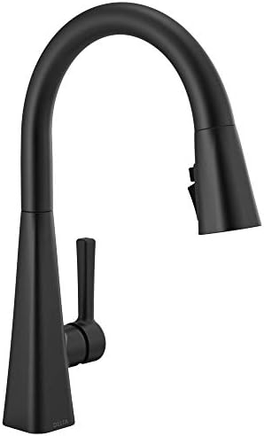 Delta 19802Z-BL-DST Lenta Kitchen Faucet, Standard, Matte Black