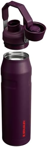 Stanley IceFlow Fast Flow Water Bottle | Angled Spout Lid | Lightweight & Leakproof for Travel & Sports | Insulated Stainless Steel | BPA-Free