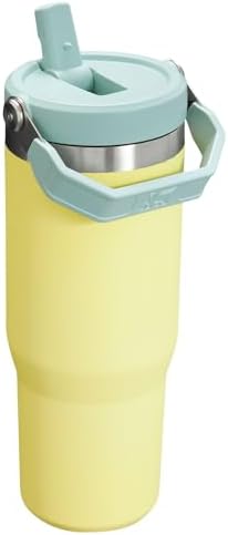 Stanley IceFlow Flip Straw Tumbler with Handle 30 oz | Twist On Lid and Flip Up Straw | Leak Resistant Water Bottle | Insulated Stainless Steel |BPA-Free | Pomelo