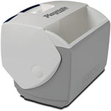 Igloo Classic Playmate Coolers