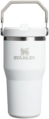 Stanley IceFlow 2.0 Flip Straw Tumbler with Handle 20 oz | Twist On Lid and Flip Up Straw | Leak Resistant Water Bottle | Insulated Stainless Steel | BPA-Free | Frost