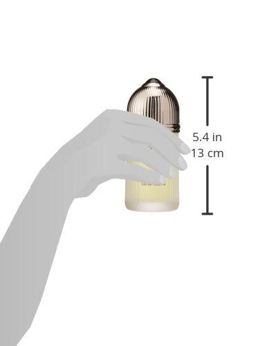 CARTIER Pasha de Cartier | Eau de Toilette | Fragrance for Men | Classic Fougere Accord with Lavender and Patchouli | 100 mL / 3.3 fl oz