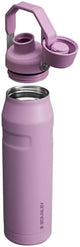 Stanley IceFlow Fast Flow Water Bottle | Angled Spout Lid | Lightweight & Leakproof for Travel & Sports | Insulated Stainless Steel | BPA-Free