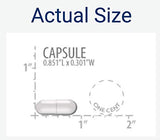 Life Extension Skin Restoring Ceramides, 50 Liquid Veg Caps (Pack of 2) - Non-GMO, Vegetarian Phytoceramide Supplement