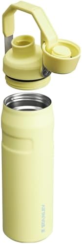 Stanley IceFlow Fast Flow Water Bottle | Angled Spout Lid | Lightweight & Leakproof for Travel & Sports | Insulated Stainless Steel | BPA-Free