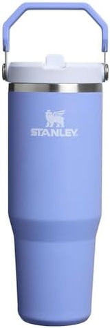 Stanley IceFlow 2.0 Flip Straw Tumbler with Handle 30 oz | Twist On Lid and Flip Up Straw | Leak Resistant Water Bottle | Insulated Stainless Steel | BPA-Free | Hydrangea