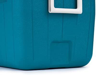 Coleman Chiller 48qt Insulated Portable Cooler with Ice Retention & Heavy-Duty Handles, Made in USA