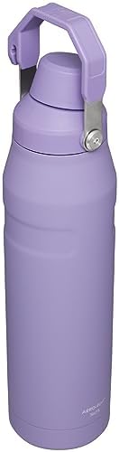 Stanley IceFlow Fast Flow Water Bottle | Angled Spout Lid | Lightweight & Leakproof for Travel & Sports | Insulated Stainless Steel | BPA-Free