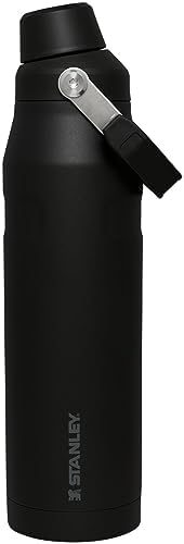 Stanley IceFlow Fast Flow Water Bottle | Angled Spout Lid | Lightweight & Leakproof for Travel & Sports | Insulated Stainless Steel | BPA-Free