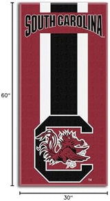 Northwest NCAA Unisex-Adult Beach Towel