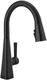 Delta 19802TZ-BL-DST Lenta Kitchen Faucet, Without Soap Dispenser, Matte Black