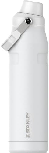 Stanley IceFlow Fast Flow Water Bottle | Angled Spout Lid | Lightweight & Leakproof for Travel & Sports | Insulated Stainless Steel | BPA-Free