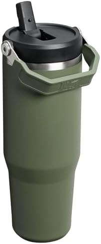 Stanley IceFlow 2.0 Flip Straw Tumbler with Handle 30 oz | Twist On Lid and Flip Up Straw | Leak Resistant Water Bottle | Insulated Stainless Steel | BPA-Free | Dried Pine