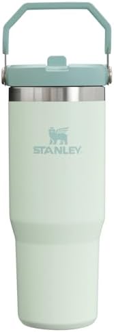 Stanley IceFlow Flip Straw Tumbler with Handle 30 oz | Twist On Lid and Flip Up Straw | Leak Resistant Water Bottle | Insulated Stainless Steel |BPA-Free | Mist