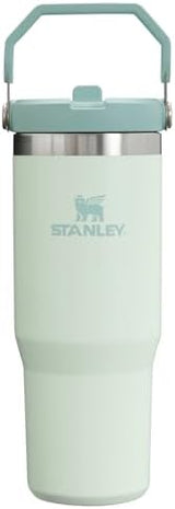 Stanley IceFlow Flip Straw Tumbler with Handle 30 oz | Twist On Lid and Flip Up Straw | Leak Resistant Water Bottle | Insulated Stainless Steel |BPA-Free | Mist