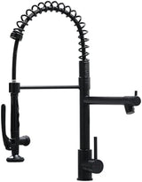 Fapully Black Kitchen Faucet,Commercial Pull Down Kitchen Sink Faucet with Sprayer