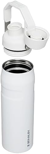 Stanley IceFlow Fast Flow Water Bottle | Angled Spout Lid | Lightweight & Leakproof for Travel & Sports | Insulated Stainless Steel | BPA-Free