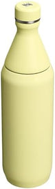 STANLEY All Day Slim Bottle 20-34 OZ | Twist off Lid with Leakproof Seal | Slim Design for Travel & Gym | Insulated Stainless Steel | BPA-Free