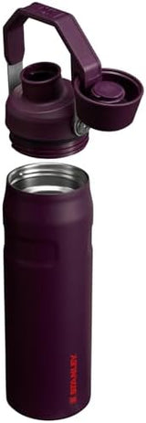 Stanley IceFlow Fast Flow Water Bottle | Angled Spout Lid | Lightweight & Leakproof for Travel & Sports | Insulated Stainless Steel | BPA-Free
