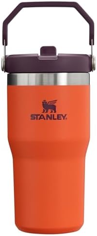 Stanley IceFlow Flip Straw Tumbler with Handle 20 oz | Twist On Lid and Flip Up Straw | Leak Resistant Water Bottle | Insulated Stainless Steel |BPA-Free | Tigerlily Plum
