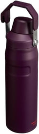 Stanley IceFlow Fast Flow Water Bottle | Angled Spout Lid | Lightweight & Leakproof for Travel & Sports | Insulated Stainless Steel | BPA-Free