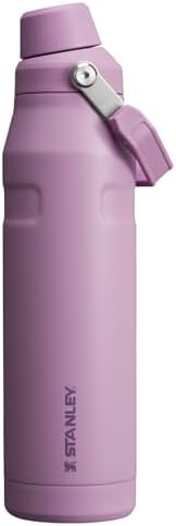 Stanley IceFlow Fast Flow Water Bottle | Angled Spout Lid | Lightweight & Leakproof for Travel & Sports | Insulated Stainless Steel | BPA-Free