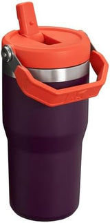 Stanley IceFlow Flip Straw Tumbler with Handle 20 oz | Twist On Lid and Flip Up Straw | Leak Resistant Water Bottle | Insulated Stainless Steel |BPA-Free | Plum