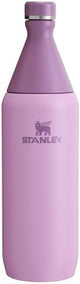 STANLEY All Day Slim Bottle 20-34 OZ | Twist off Lid with Leakproof Seal | Slim Design for Travel & Gym | Insulated Stainless Steel | BPA-Free