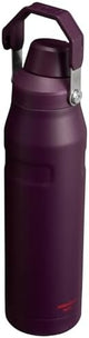 Stanley IceFlow Fast Flow Water Bottle | Angled Spout Lid | Lightweight & Leakproof for Travel & Sports | Insulated Stainless Steel | BPA-Free
