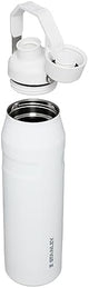 Stanley IceFlow Fast Flow Water Bottle | Angled Spout Lid | Lightweight & Leakproof for Travel & Sports | Insulated Stainless Steel | BPA-Free