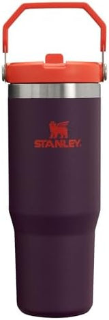Stanley IceFlow Flip Straw Tumbler with Handle 30 oz | Twist On Lid and Flip Up Straw | Leak Resistant Water Bottle | Insulated Stainless Steel |BPA-Free | Plum