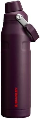 Stanley IceFlow Fast Flow Water Bottle | Angled Spout Lid | Lightweight & Leakproof for Travel & Sports | Insulated Stainless Steel | BPA-Free