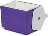 Igloo Classic Playmate Coolers